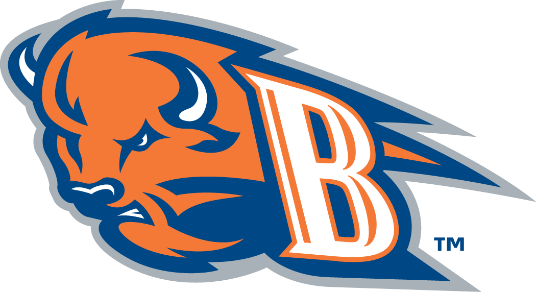 Bucknell Bison 2002-Pres Alternate Logo diy DTF decal sticker